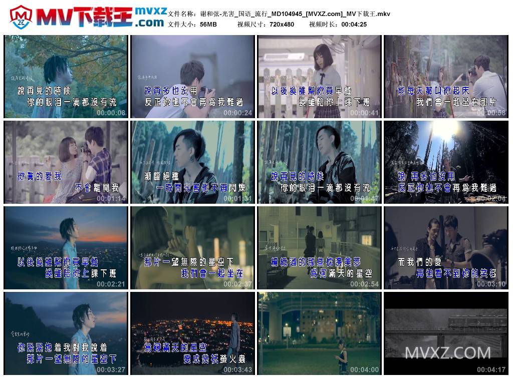 谢和弦-光害_国语_流行_MD104945